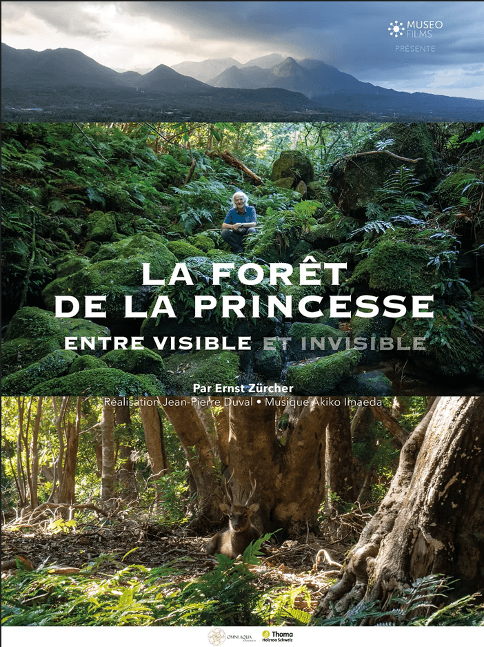 Affiche du film La Forêt de la Princesse